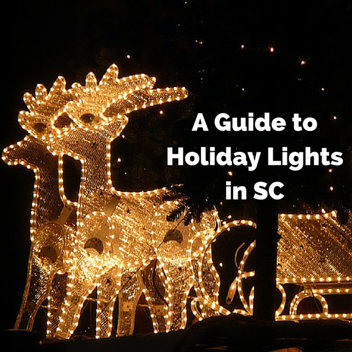 Guide to Holiday Lights in SC | Columbia SC Moms Blog